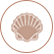 https://www.chowking.ph/wp-content/uploads/2023/08/Molluscus.png