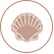 https://www.chowking.ph/wp-content/uploads/2023/08/Molluscus.png